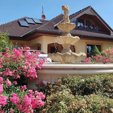 Carmen Guest house 3*