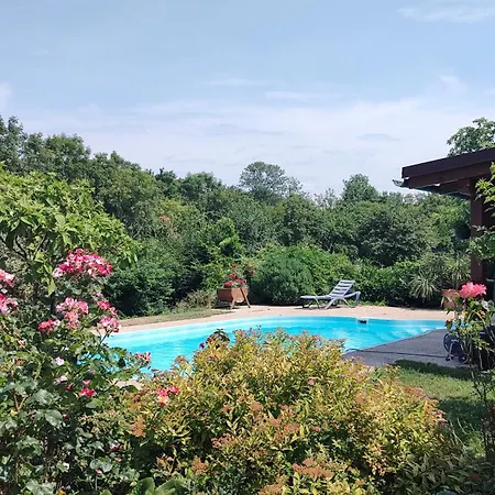 Carmen Guest house