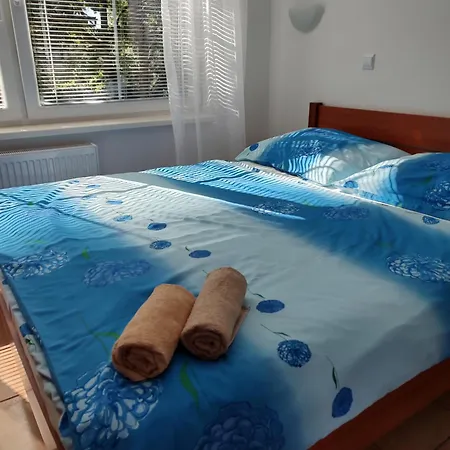 Guest house Carmen 3*
