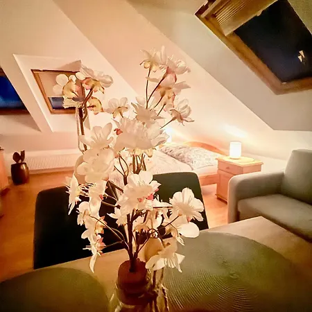Casa de hóspedes Carmen