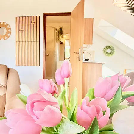 Carmen Guest house
