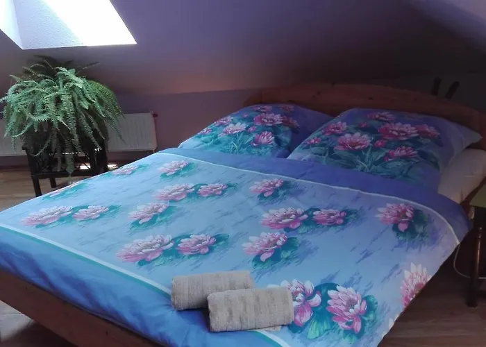 Carmen 3* Česká Skalice